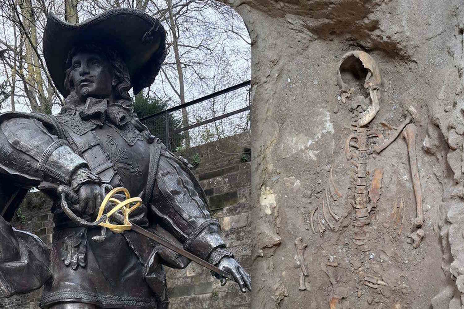 scheletro dartagnan