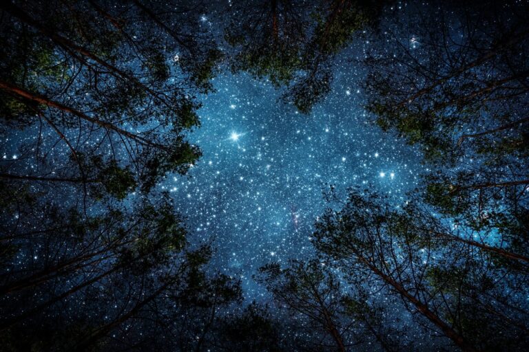 Préparons-nous pour un autre lever de soleil spécial, nous admirerons un splendide défilé de planètes, de lune et d'étoiles