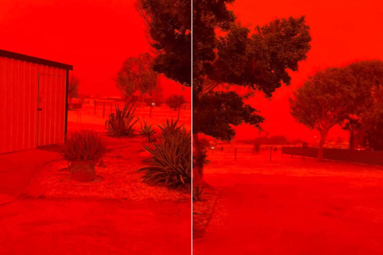 IA ou filtre ? Non, le ciel rouge sang en Australie est la réalité : images d'un film apocalyptique sur le cyclone Narelle