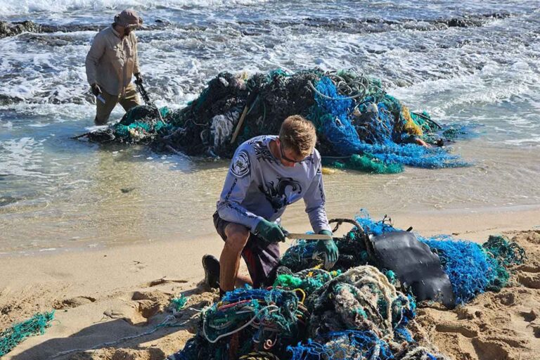 Un projet universitaire a retiré 84 tonnes de filets fantômes de la plus grande île en plastique du monde