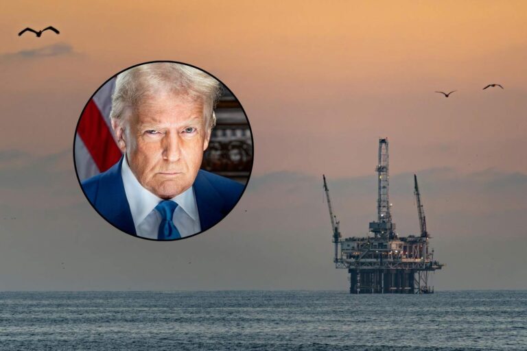 Rorquals communs et coraux sacrifiés au nom du forage : Trump contourne la loi sur les espèces protégées dans le golfe du Mexique