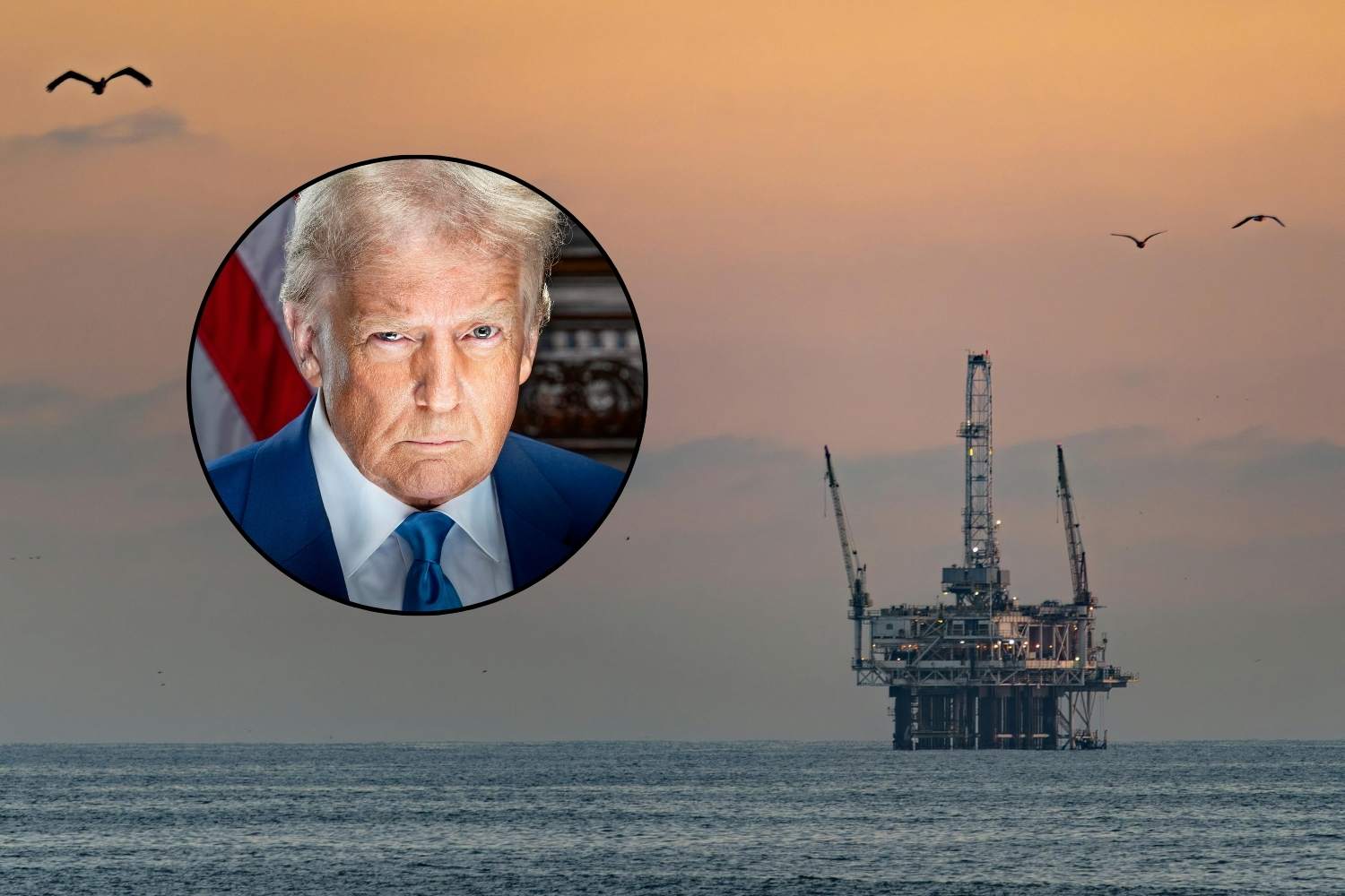 trump trivelle