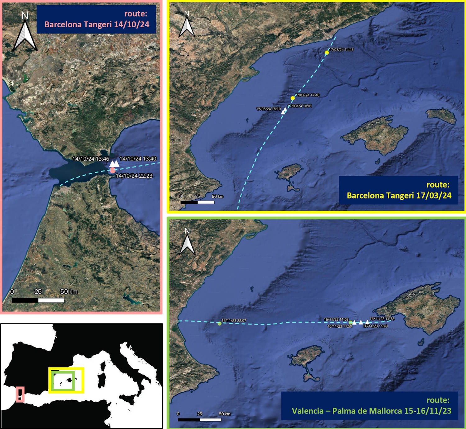 Le cachalot pygmée dans l’ADN environnemental de la Méditerranée