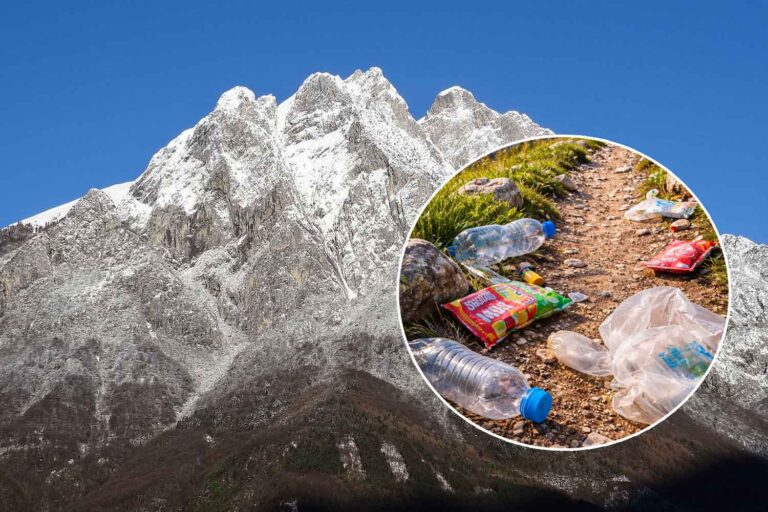 Ainsi, pas à pas, nous transformons les Alpes en montagnes de plastique