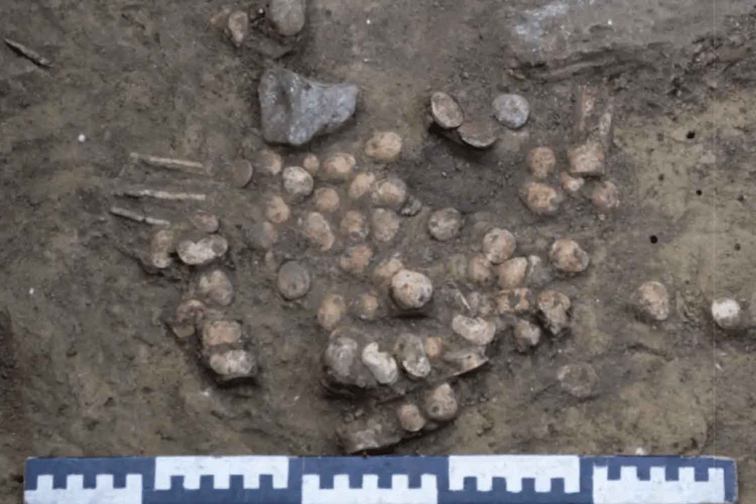 gioco preistorico di 6000 anni fa