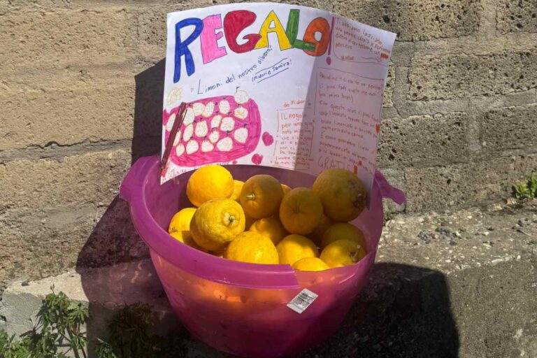 Ils déposent des citrons devant chez eux pour les passants en échange d'une pensée écrite : le geste qui permet de retrouver la gentillesse du quartier