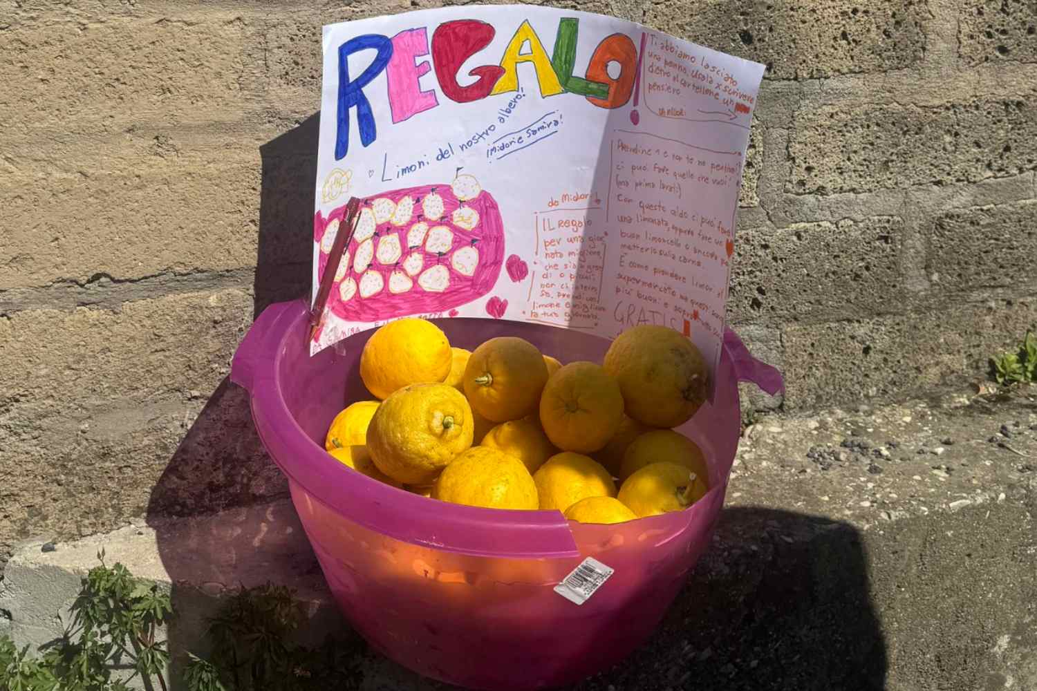 regalo limoni