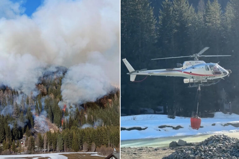Des touristes lancent des pétards dans les bois et allument un incendie : plus de 10 hectares détruits en Valteline