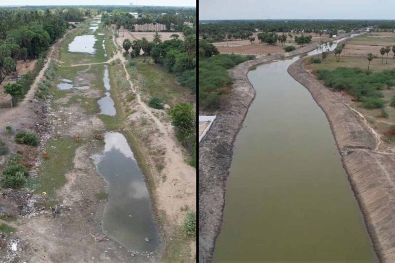 750 kg de plastique retirés et 3 000 mangroves plantées