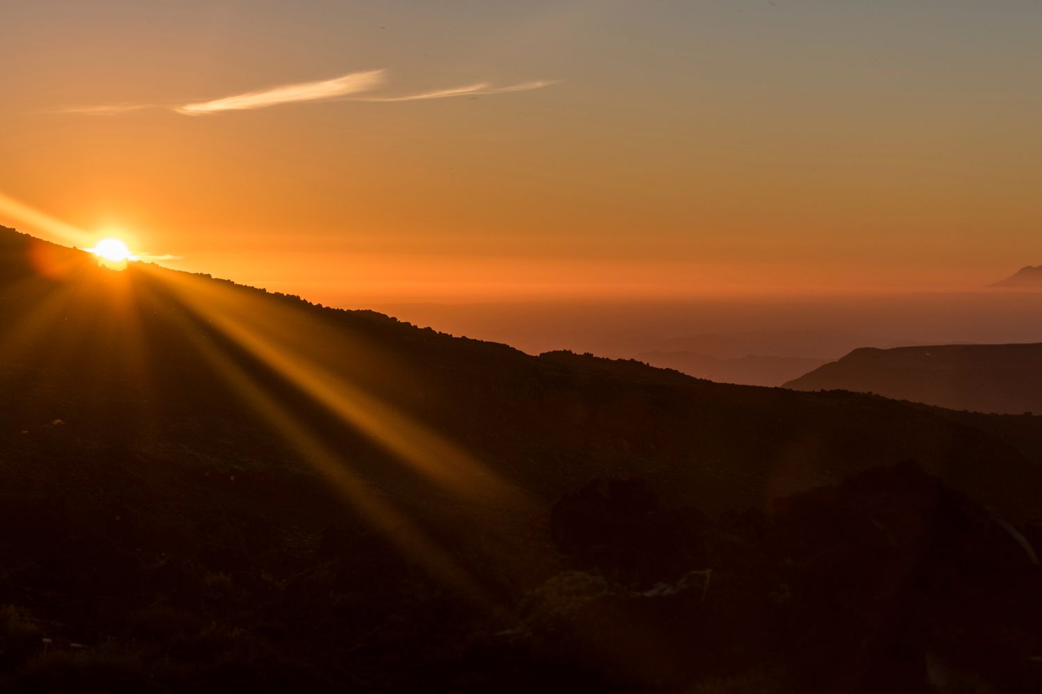 tris celeste alba speciale