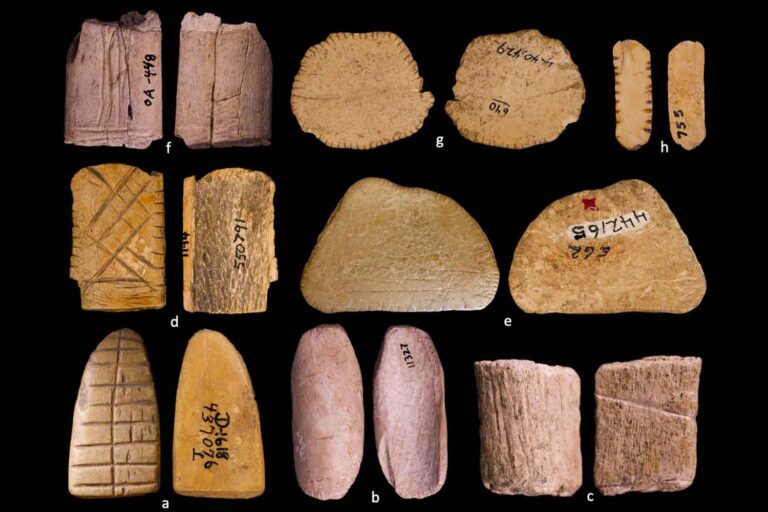 L'origine du jeu ? Cela remonte à la dernière période glaciaire ! Découverte des dés les plus anciens du monde (et ils sont très différents des nôtres)