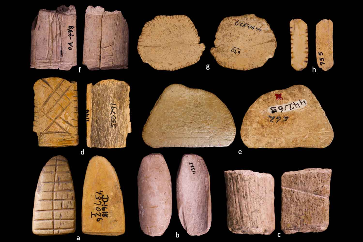 dadi nativi americani