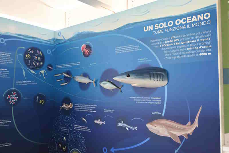 Hub flottant Marevivo