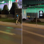 Quelle est cette histoire du robot humanoïde qui chasse les sangliers du centre-ville : l'expérience de Varsovie devient virale