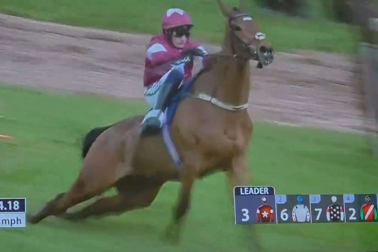 Le cheval Gold Dancer remporte la course mais est euthanasié sur la piste (à cause d'une fracture), choc au Royaume-Uni : ce n'est pas du sport !