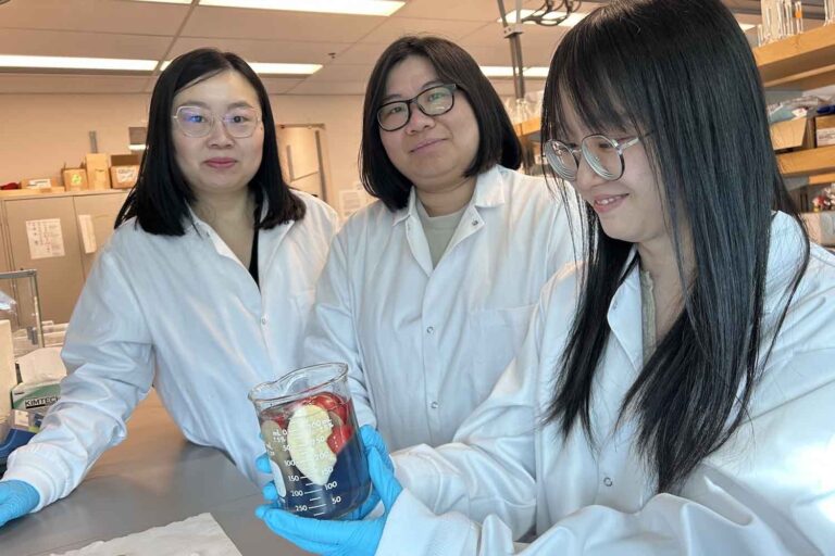 Le bicarbonate de soude ne suffit pas ! Ce nettoyant naturel élimine jusqu'à 94 % des pesticides des fruits (et aide à mieux les conserver)