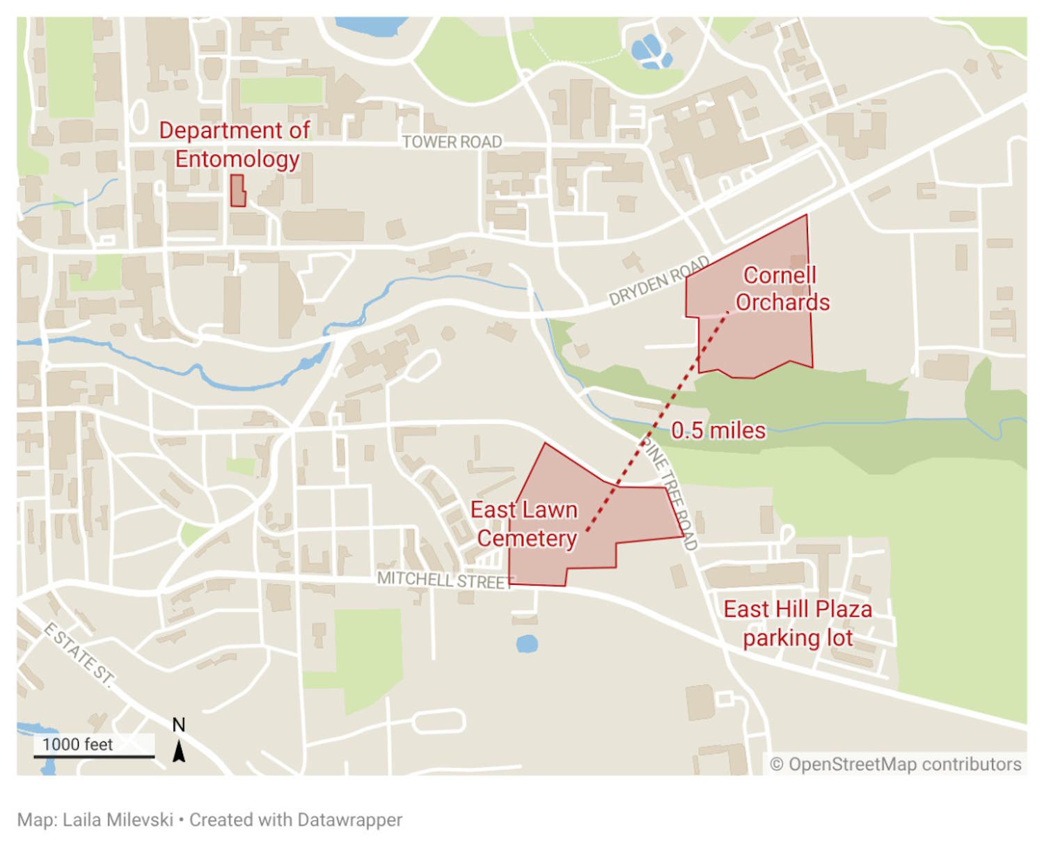 immense colonie d'abeilles cimetière des États-Unis