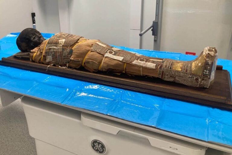 Un mystérieux papyrus pourrait être caché sous la poitrine d'une momie d'un petit égyptien antique