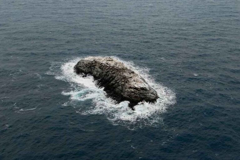 Cela ressemblait à un iceberg sale en Antarctique, mais c'était plutôt une île : la découverte dans la mer de Weddell qui a surpris les scientifiques
