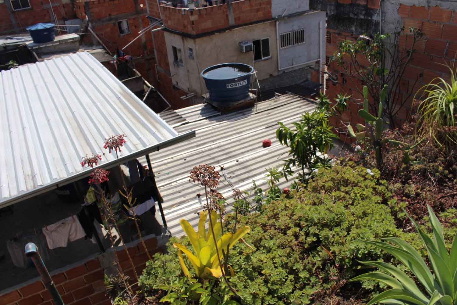 Favela de Teto Verde