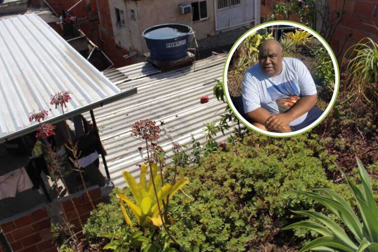 Toits verts dans les favelas de Rio de Janeiro ! Cet homme apprend à sa communauté à les fabriquer (pour lutter contre la chaleur extrême)