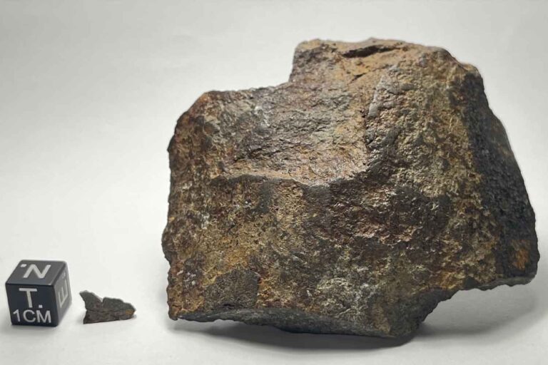 Il perd ses clés dans les bois mais trouve une météorite (datant d'il y a plus de 4,5 milliards d'années) : c'est la première trouvée dans le Trentin