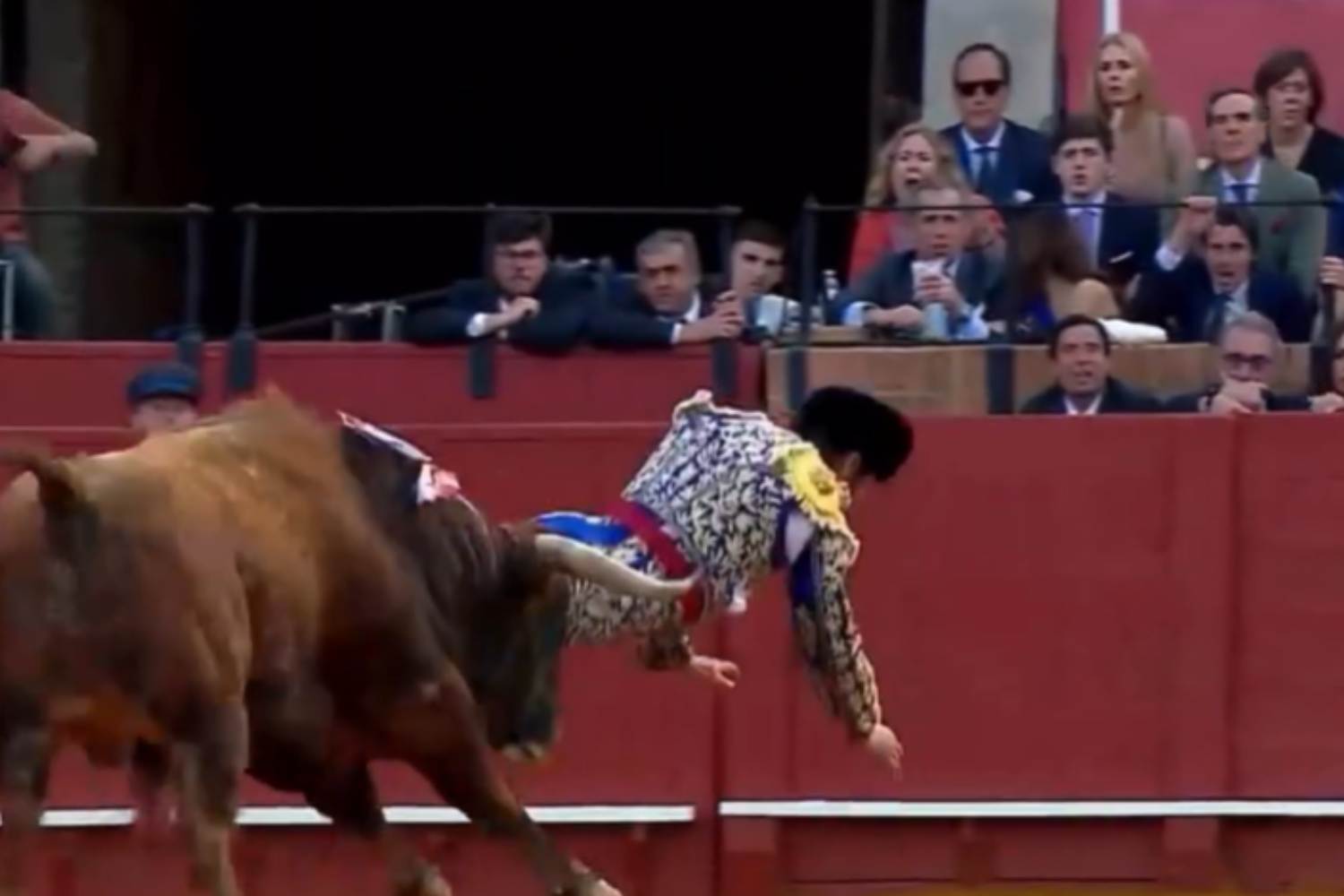 Torero encorné lors de la corrida de Séville, désormais dans un état grave (avec rectum perforé) : arrêtons cette folie !