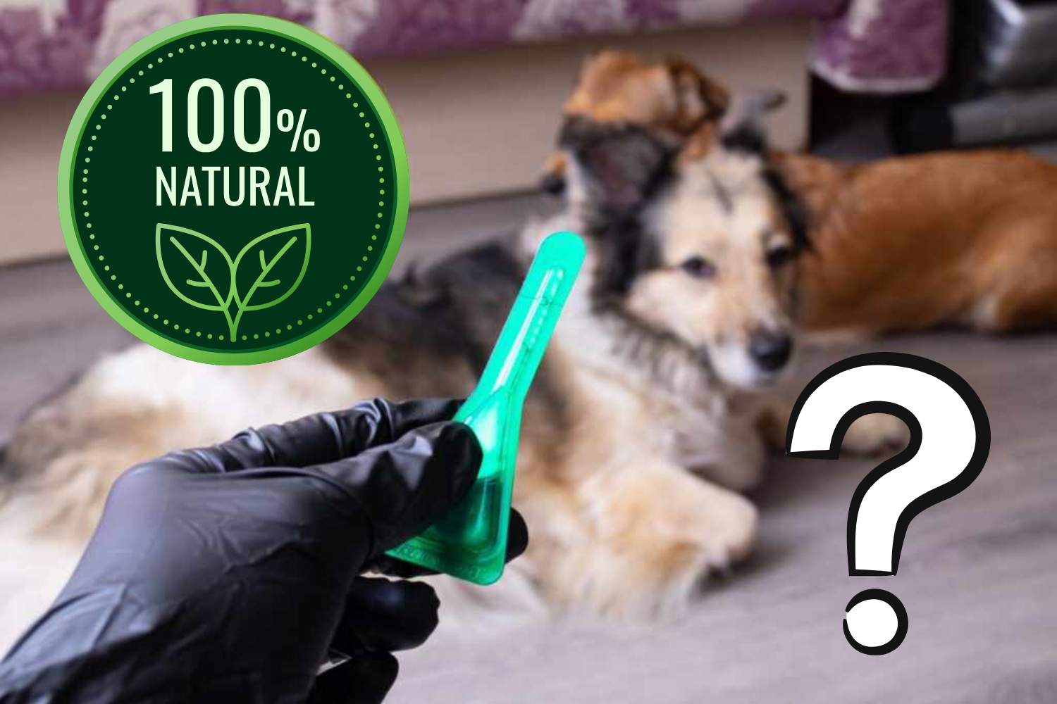 antiparassitari naturali allerta