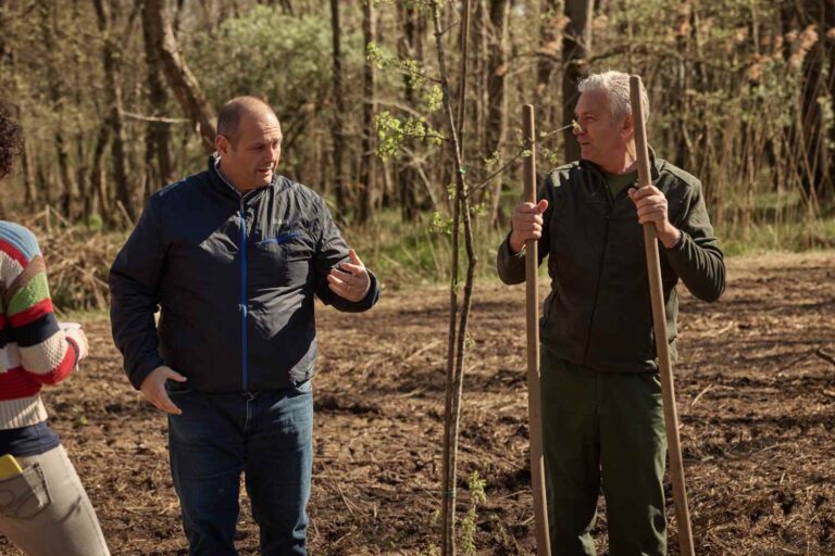 6000 nouveaux arbres dans le parc du Tessin