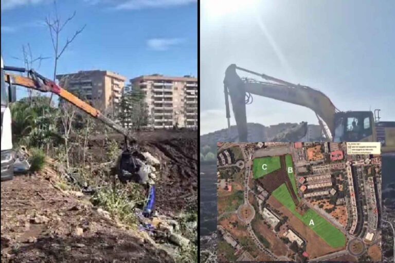Rome, la remise en état de Villa Flaviana a enfin commencé, mais les bulldozers arrivent en pleine période de nidification