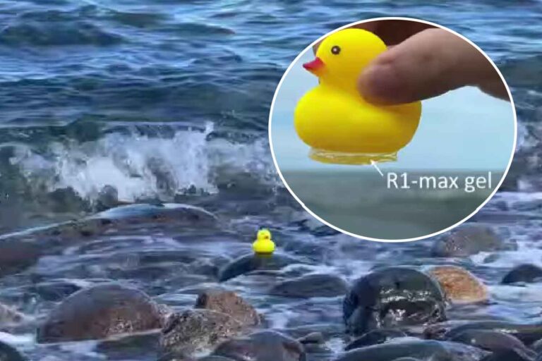 L'étude des mollusques a créé un gel adhésif sous-marin si résistant qu'il peut supporter le poids d'un adulte dans un timbre-poste.