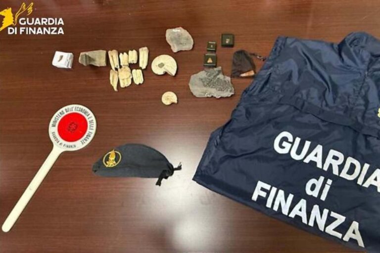 Une griffe de dinosaure et des fossiles datant d'il y a plus de 50 millions d'années : saisie choc par le ministère des Finances de Palerme