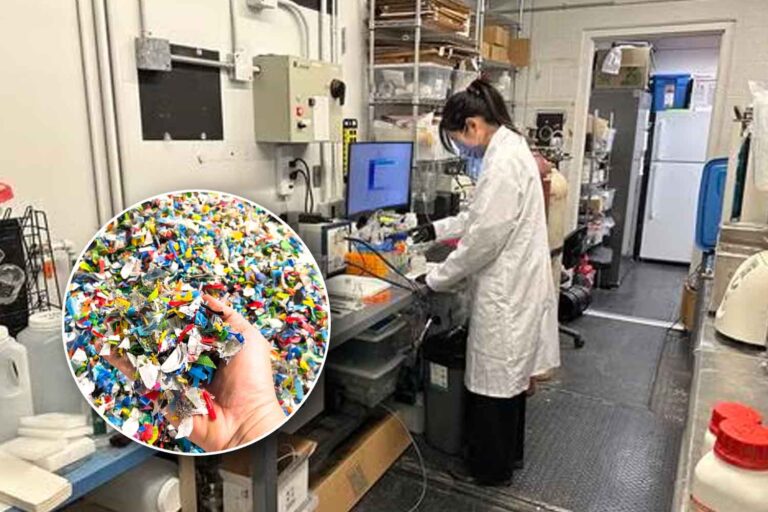 Transformer le plastique en vinaigre grâce au soleil : la méthode révolutionnaire qui pourrait réduire les déchets dans le monde