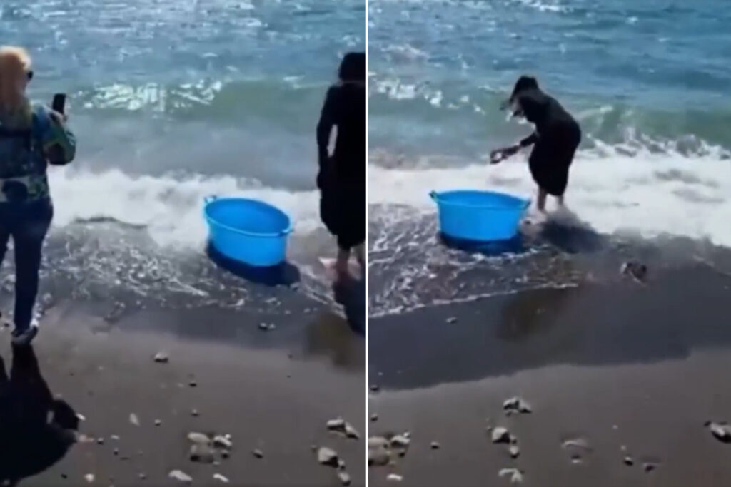 Les touristes achètent tous les homards dans un restaurant de Pompéi et les relâchent à la mer : mais était-ce vraiment une bonne idée ?