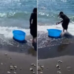 Les touristes achètent tous les homards dans un restaurant de Pompéi et les relâchent à la mer : mais était-ce vraiment une bonne idée ?