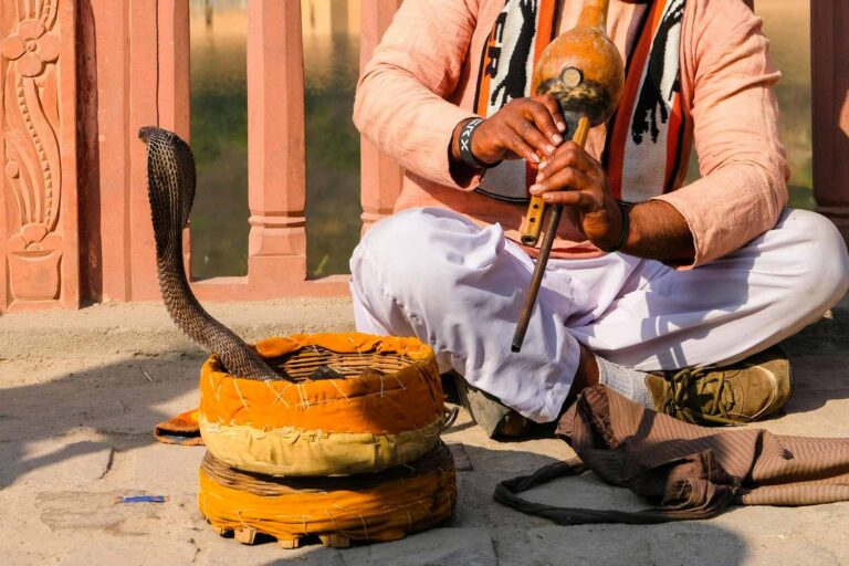 Un touriste décède en Egypte après une morsure de serpent lors d'un spectacle dans un complexe (malgré une nouvelle interdiction)