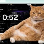 Défilement infini ? Un énorme chat orange bloquant votre écran vous sauve – tout le monde est fou de l'extension Cat Gatekeeper Chrome