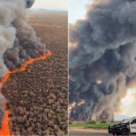 L'Arizona en feu, l'incendie de Hazen avance de plein fouet (et a déjà dévoré plus de 500 hectares) : images des ravages