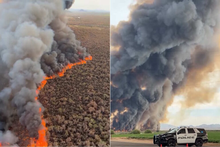 L'Arizona en feu, l'incendie de Hazen avance de plein fouet (et a déjà dévoré plus de 500 hectares) : images des ravages