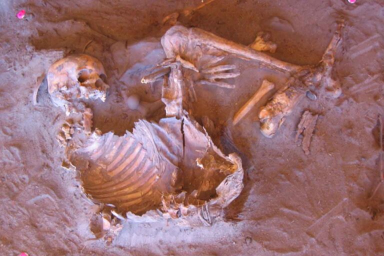 Deux femmes momifiées datant de 7 000 ans ont été découvertes, révélant une Afrique du Nord différente de celle que nous imaginons