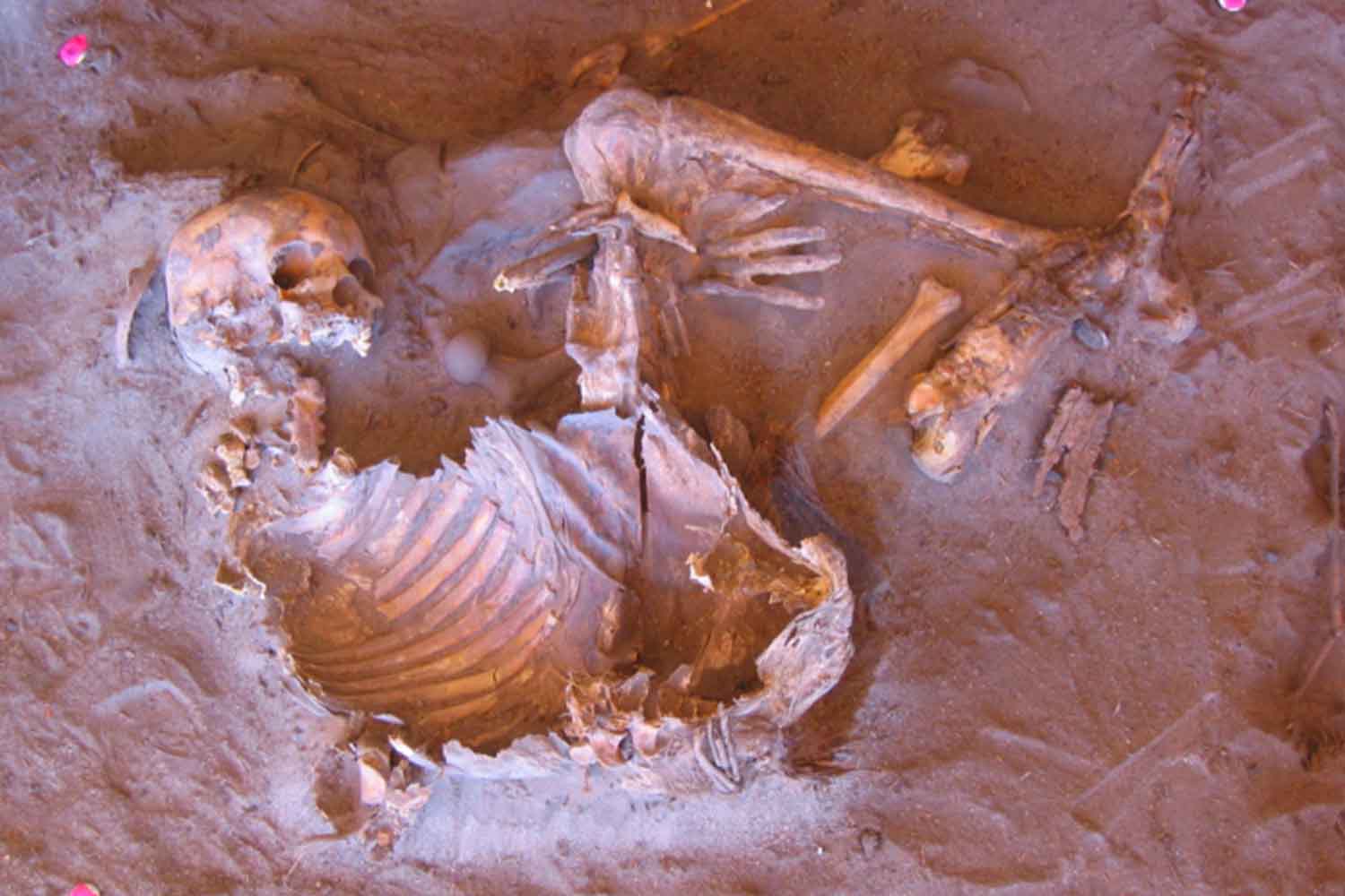 mummie di 7000 anni