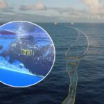 Le récif flottant qui collecte le plastique dans le Pacifique comme côte artificielle