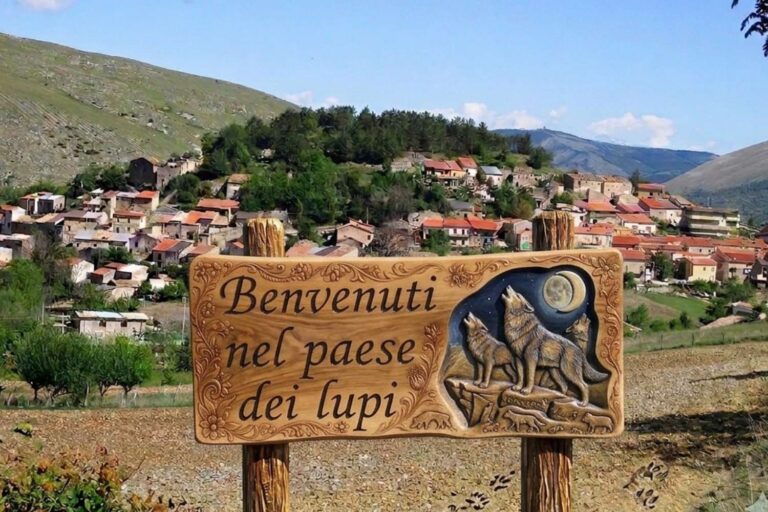 Dans les Abruzzes, il y a désormais le « Pays des Loups » : le choix de ce petit village est la réponse la plus puissante au massacre et au climat de haine