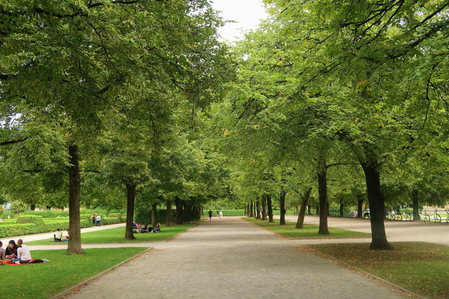 verde in città