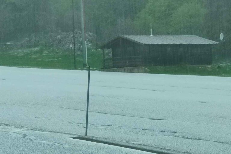 Tornades et tempêtes de grêle ravagent la Vénétie : des dizaines d'arbres tombés et des toits découverts en quelques heures seulement