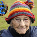 Margaret Bradshaw, l'infatigable botaniste qui, à 100 ans, continue de se battre pour protéger les fleurs les plus rares d'Angleterre