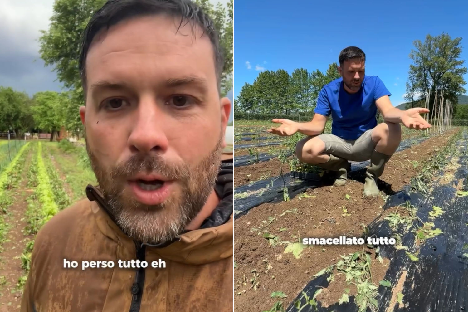 Matt The Farmer