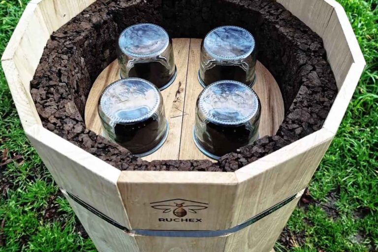 Ruche en liège : l'invention qui imite les troncs creux pour offrir aux abeilles un refuge plus naturel