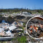 Déchets toxiques présentés comme produits verts pour barbecues et engrais : 12 arrestations dans la maxi opération « Charbon des Alpes »