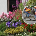 Moins de gris, plus de vert ! Gênes est la première commune à encourager le dépavage, en récompensant ceux qui remplacent le béton par des parterres de fleurs